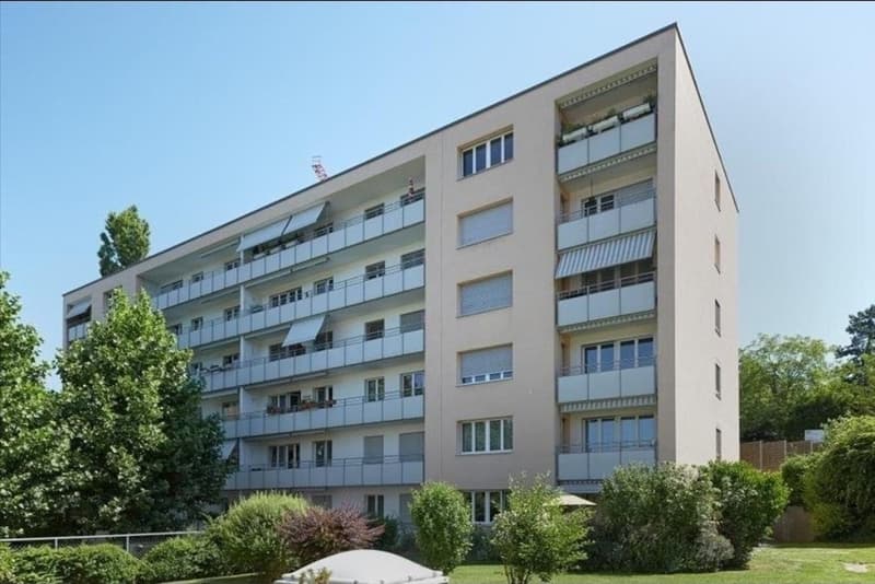 Möblierte Wohnung vom Oktober bis Dezember (6)