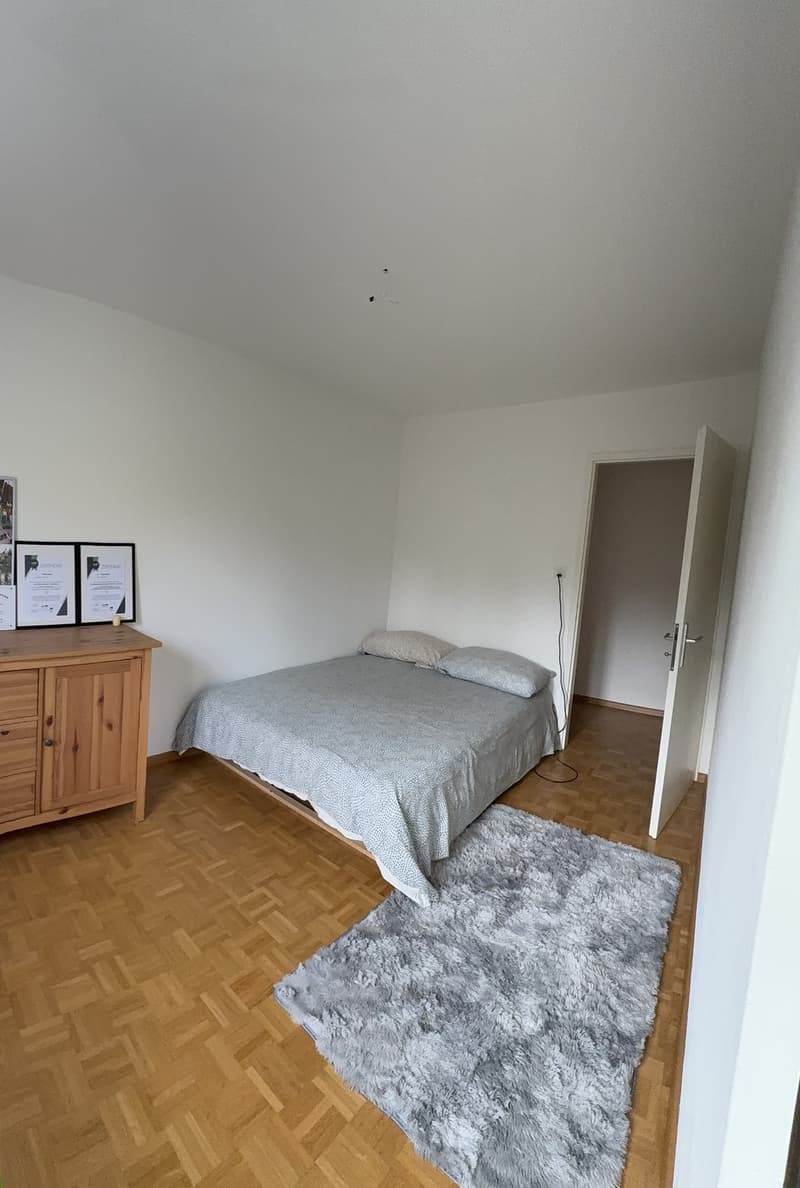 Möblierte Wohnung vom Oktober bis Dezember (2)