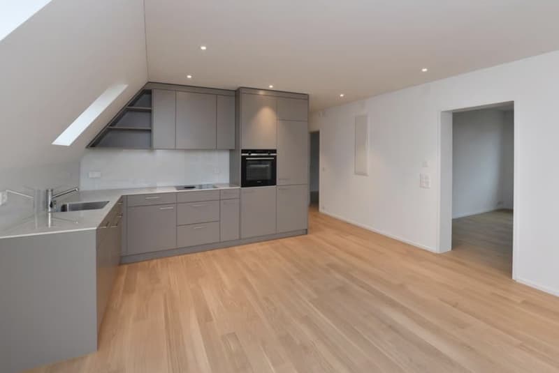 3.5- Zimmerwohnung Adliswil (3)