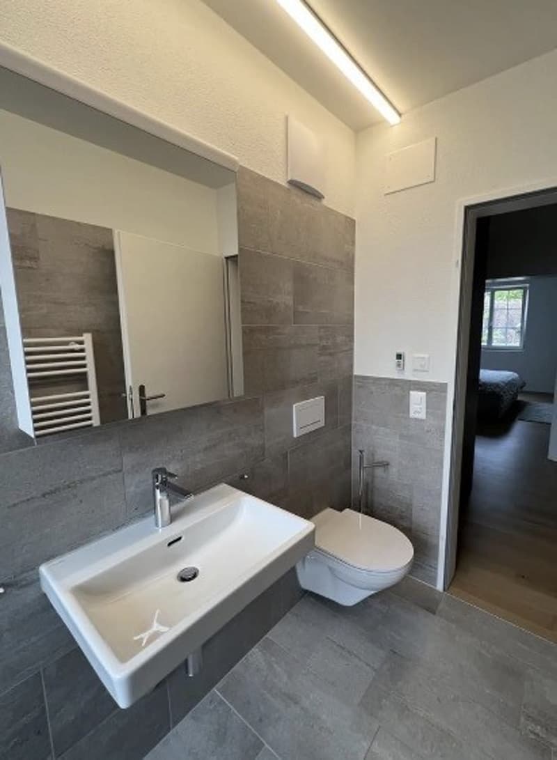 3.5- Zimmerwohnung Adliswil (5)