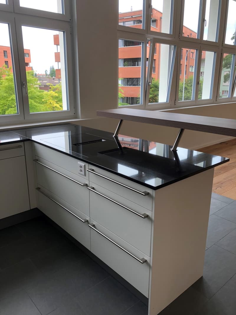 Grosszügige Loftwohnung mit Dachterrasse in 9000 St. Gallen (6)