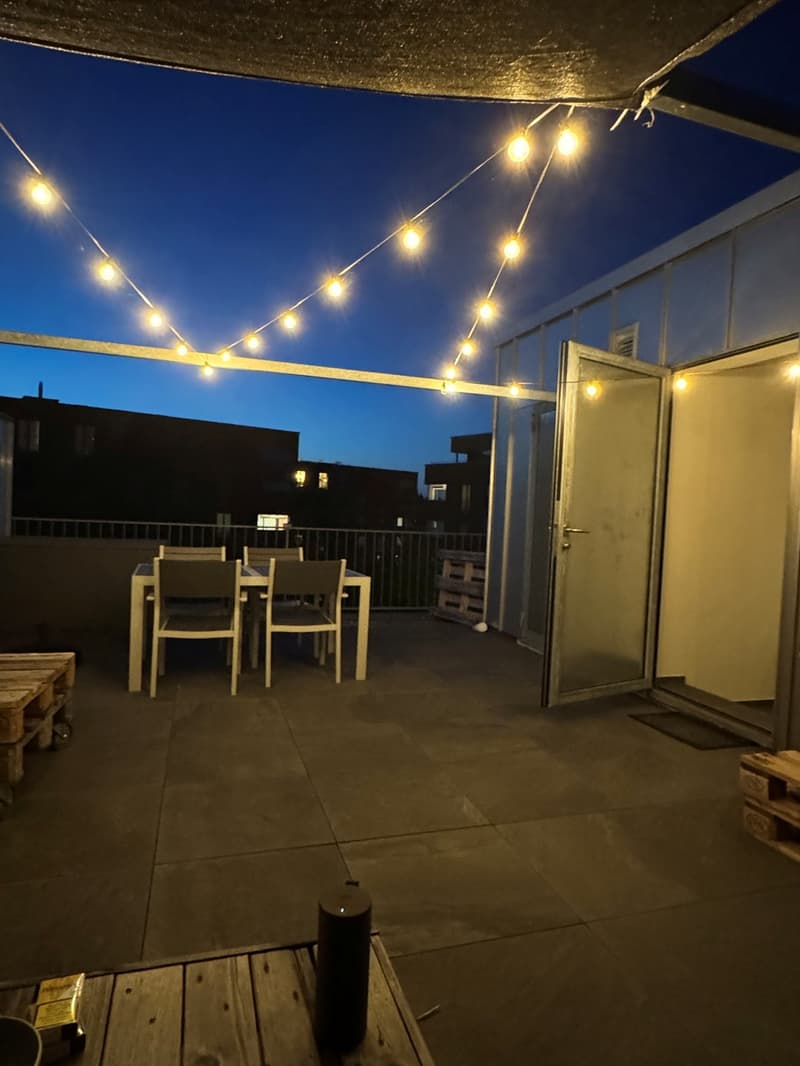 Grosszügige Loftwohnung mit Dachterrasse in 9000 St. Gallen (9)