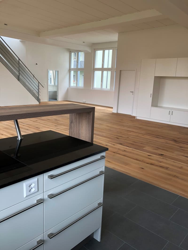 Grosszügige Loftwohnung mit Dachterrasse in 9000 St. Gallen (1)
