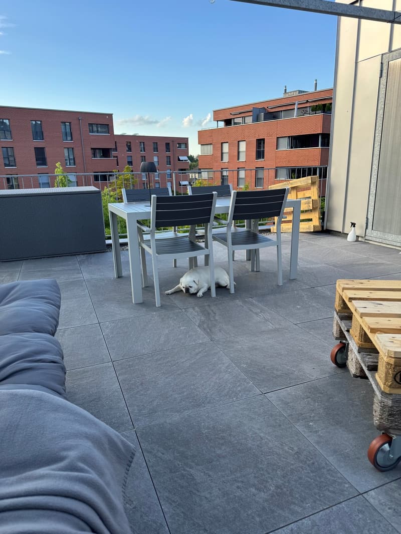 Grosszügige Loftwohnung mit Dachterrasse in 9000 St. Gallen (10)