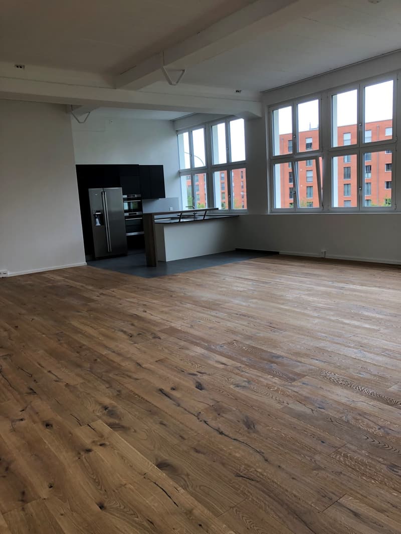 Grosszügige Loftwohnung mit Dachterrasse in 9000 St. Gallen (7)