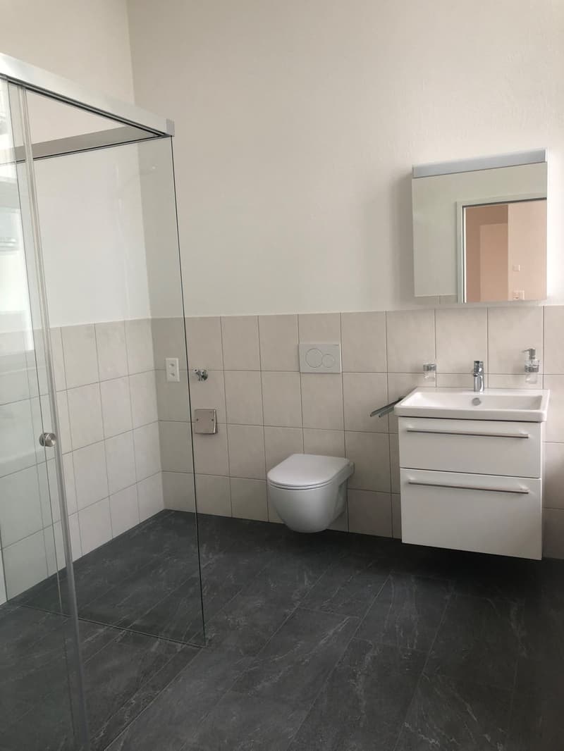 Grosszügige Loftwohnung mit Dachterrasse in 9000 St. Gallen (4)