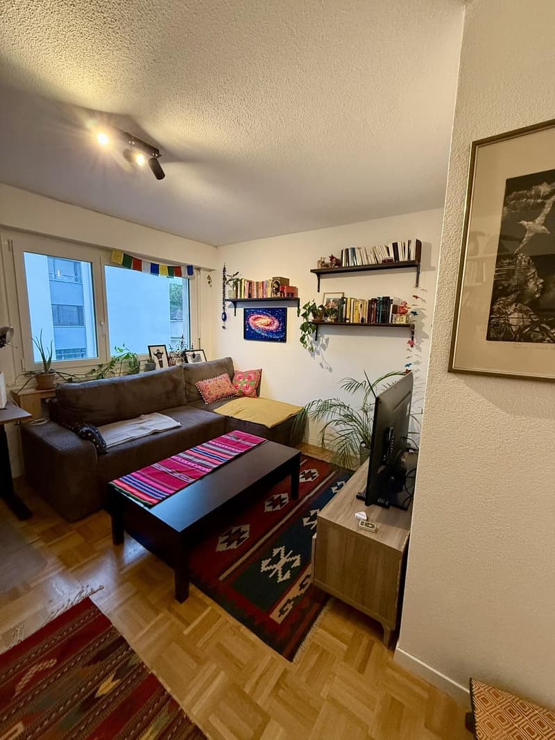 Appartement 2 ½ pièces, 1007 Lausanne (1)