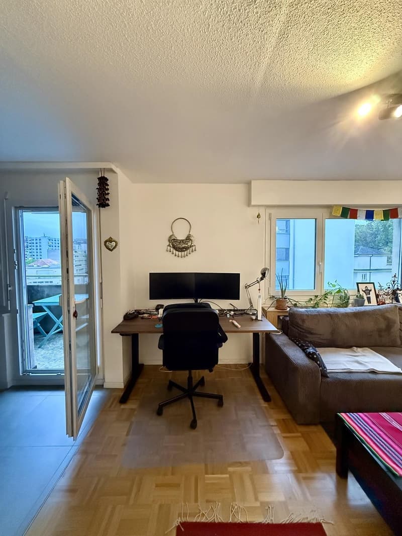 Appartement 2 ½ pièces, 1007 Lausanne (6)