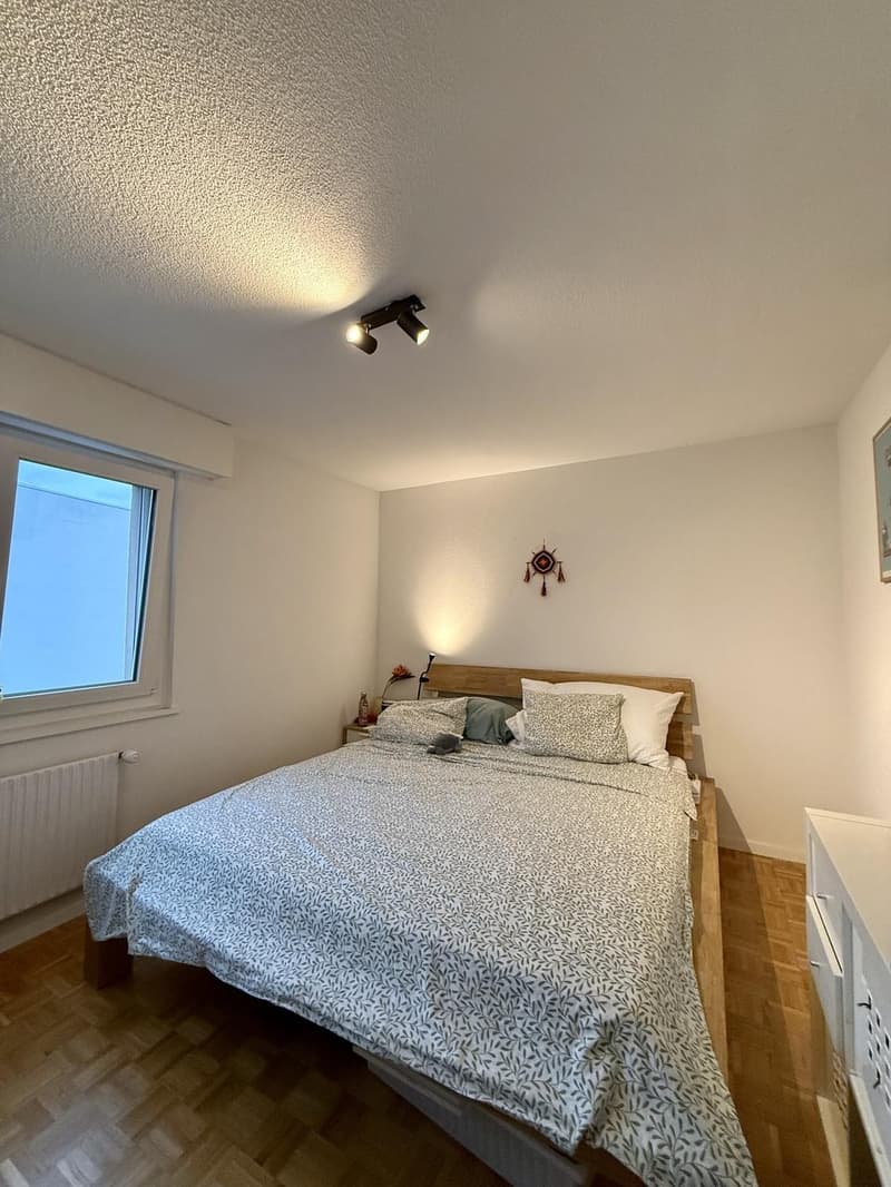 Appartement 2 ½ pièces, 1007 Lausanne (2)