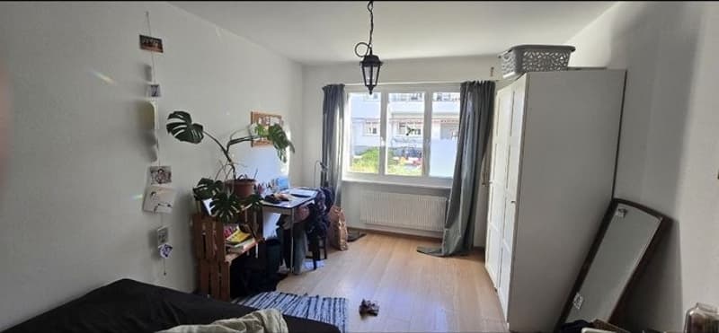Spontane Nachmieter*in gesucht (3)