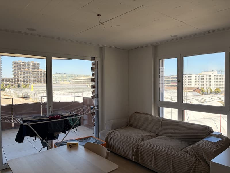 Moderne 1.5 Zimmer Wohnung in Stettbach (1)