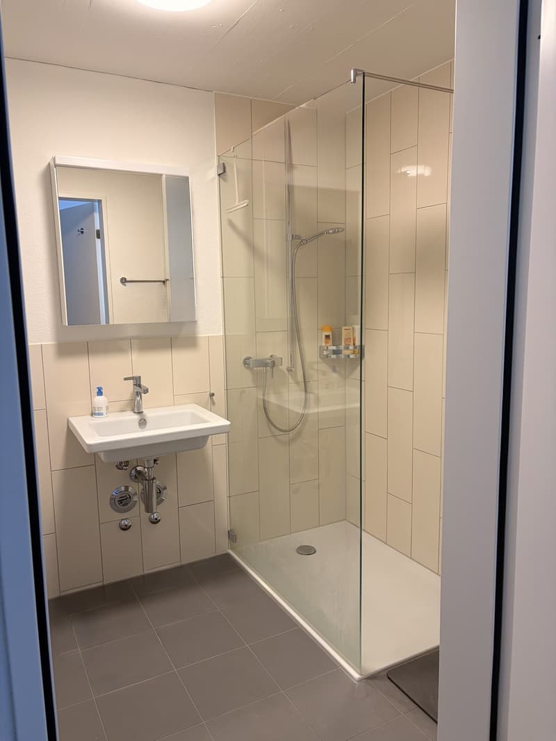 Moderne 1.5 Zimmer Wohnung in Stettbach (5)
