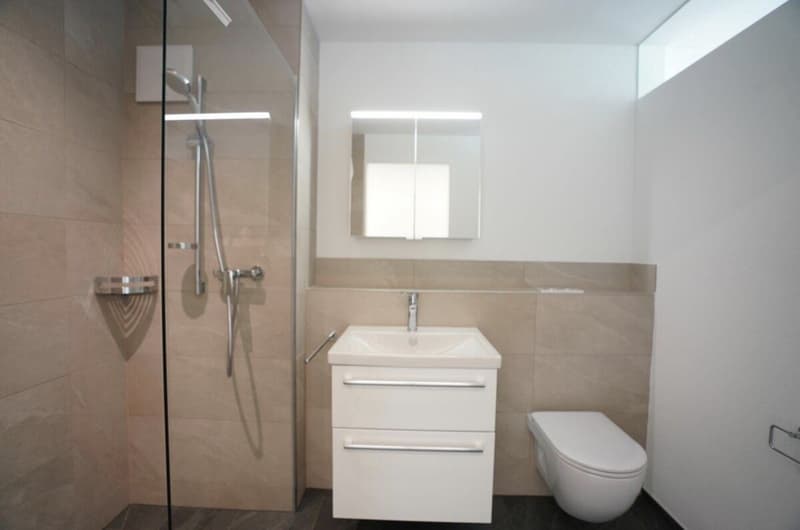 Moderne 4.5-Zimmer-Wohnung mit 113 m², Balkon & 2 Bädern Nachmieter ab 01.11.2026 (8)