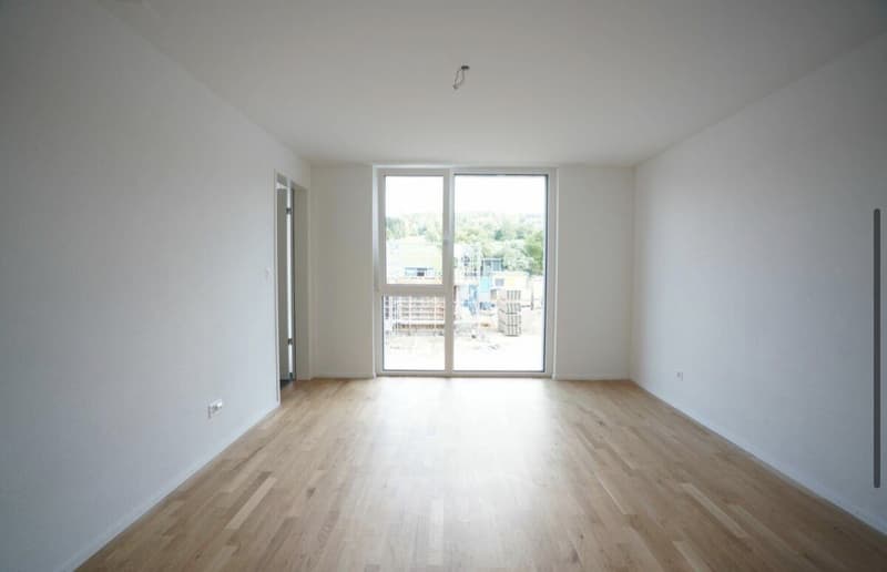 Moderne 4.5-Zimmer-Wohnung mit 113 m², Balkon & 2 Bädern Nachmieter ab 01.11.2026 (10)