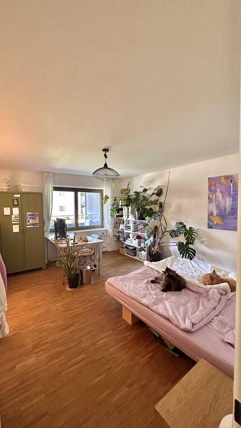 Möblierte Wohnung zur Zwischenmiete | Dezember 2026 & Januar 2027 | mit 2 liebevollen Maine-Coon-Katzen (5)