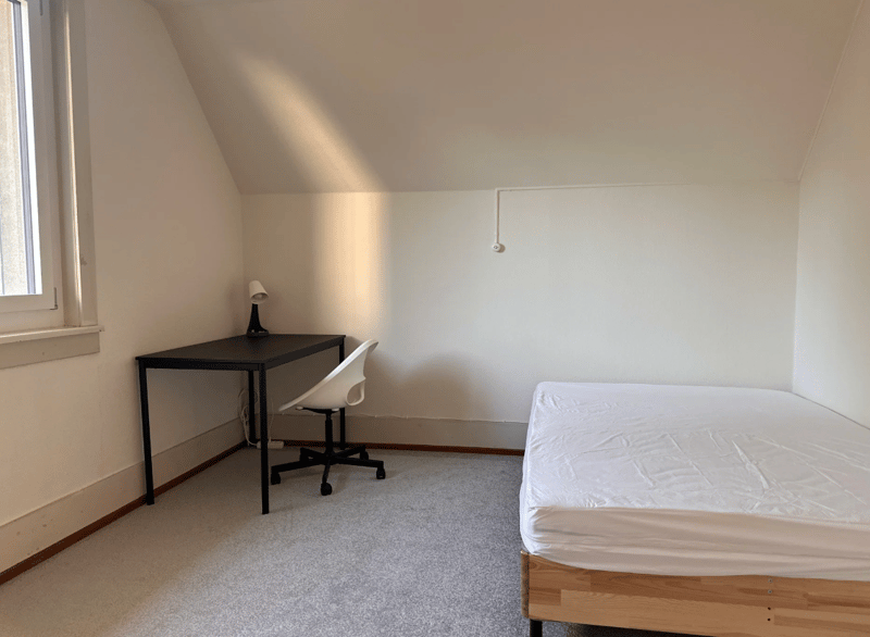 Room in Shared Flat in Dübendorf (December ONLY!) (8)