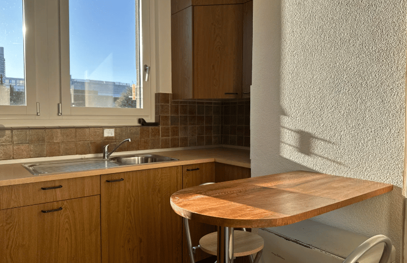 Room in Shared Flat in Dübendorf (December ONLY!) (7)