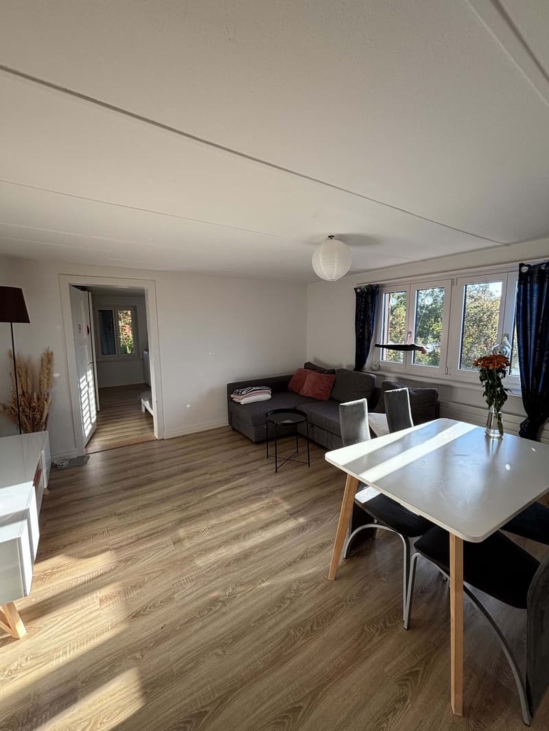 3 ½ Zimmer-Wohnung, 5412 Gebenstorf (7)