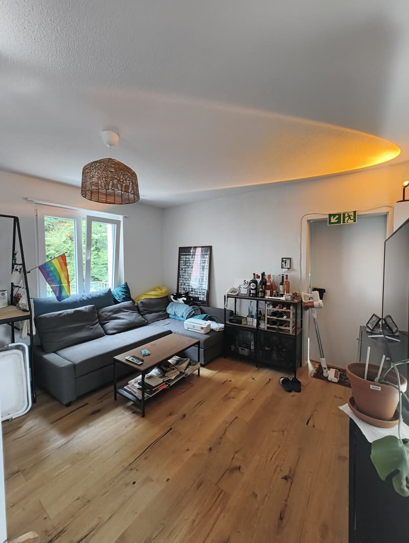 4 ½ Zimmer-Wohnung, 6003 Luzern (11)