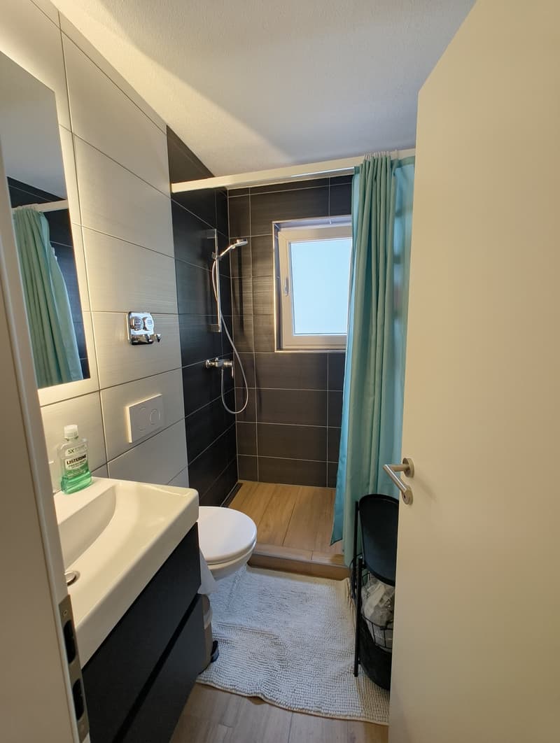 4 ½ Zimmer-Wohnung, 6003 Luzern (7)