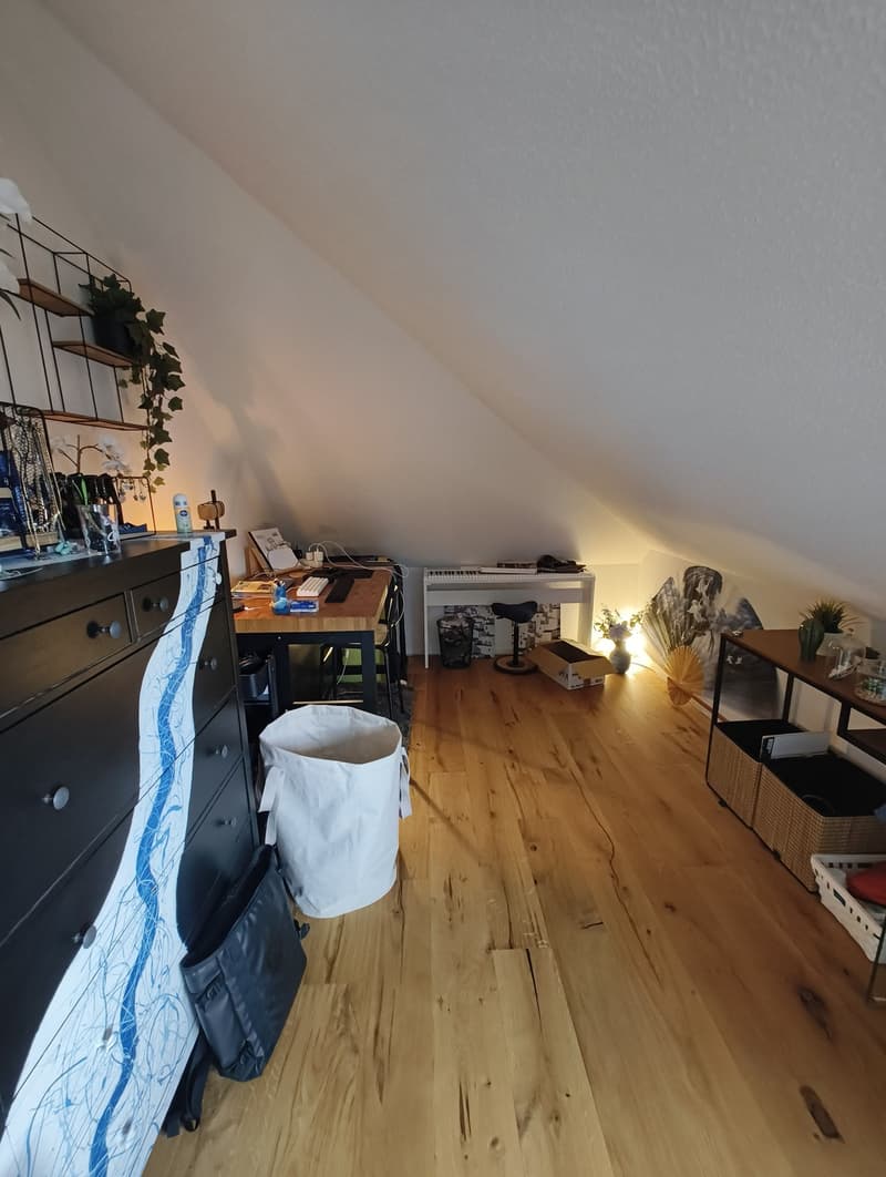 4 ½ Zimmer-Wohnung, 6003 Luzern (5)