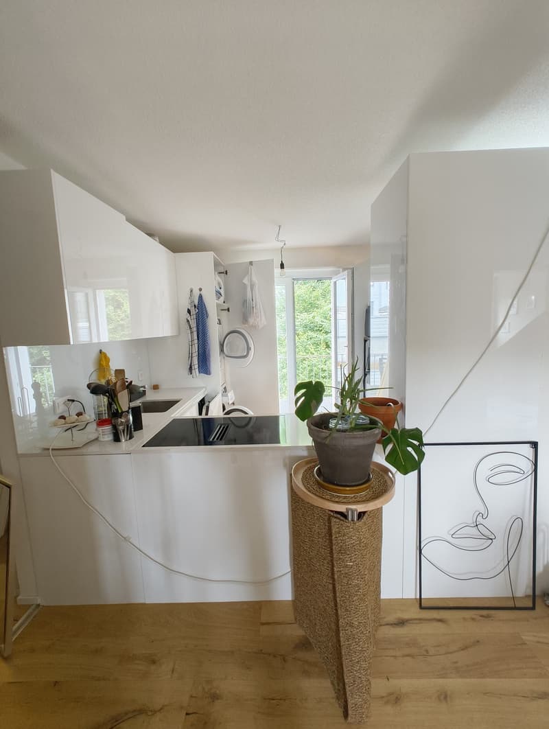 4 ½ Zimmer-Wohnung, 6003 Luzern (8)
