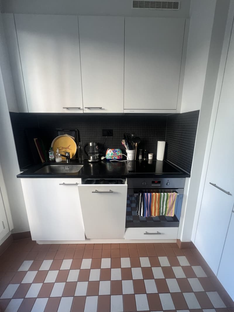 Sous-location Lausanne 3 mois - appartement meublé avec terrasse (6)