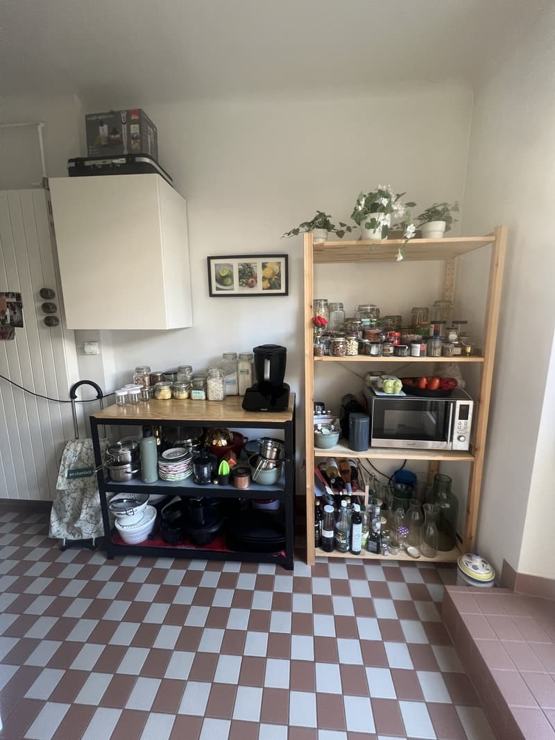 Sous-location Lausanne 3 mois - appartement meublé avec terrasse (7)