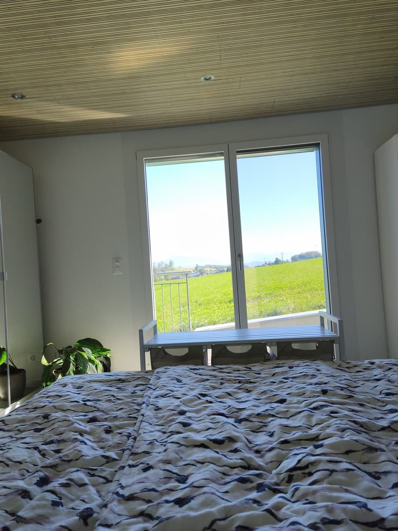 3 ½ Zimmer Einliegerwohnung in ruhiger Lage mieten (3)