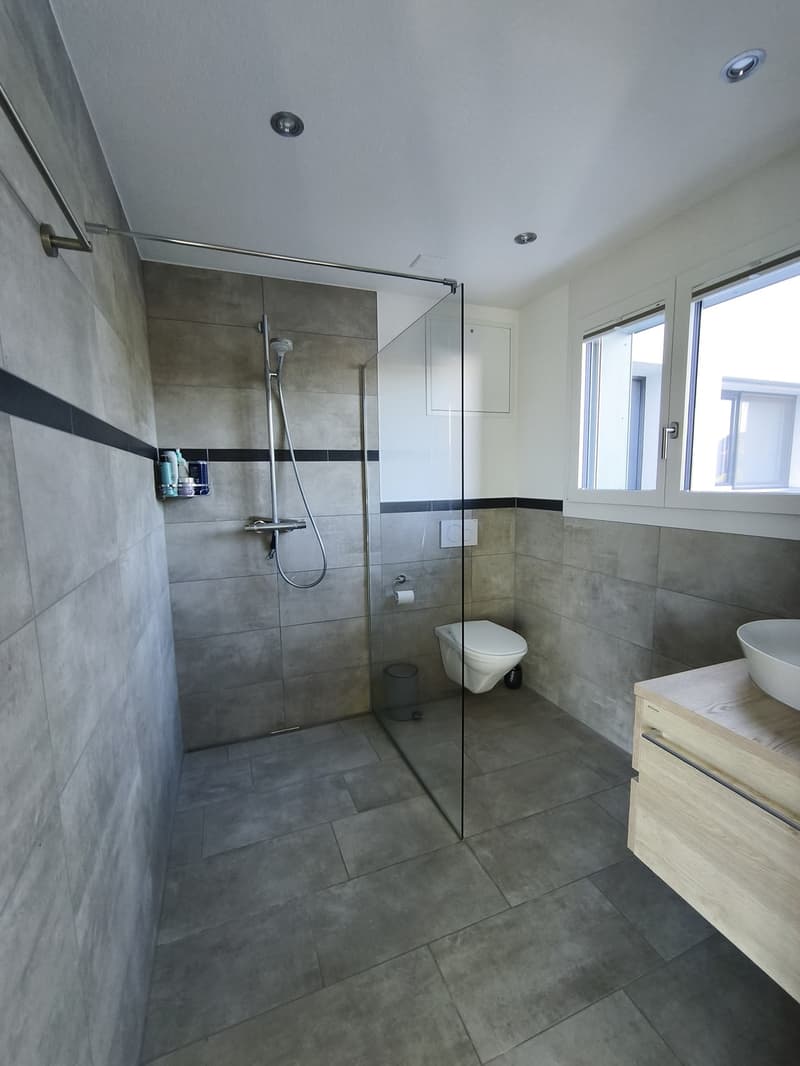 3 ½ Zimmer Einliegerwohnung in ruhiger Lage mieten (5)