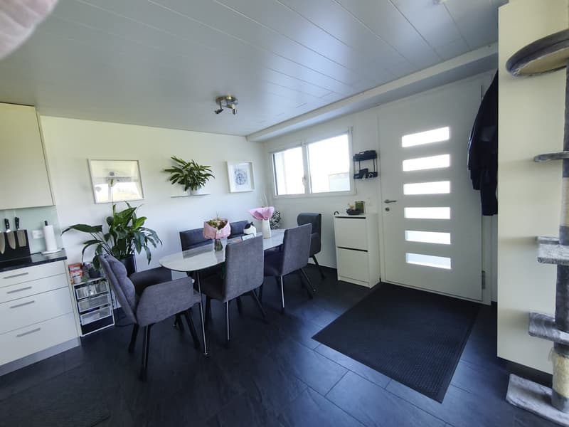 3 ½ Zimmer Einliegerwohnung in ruhiger Lage mieten (7)