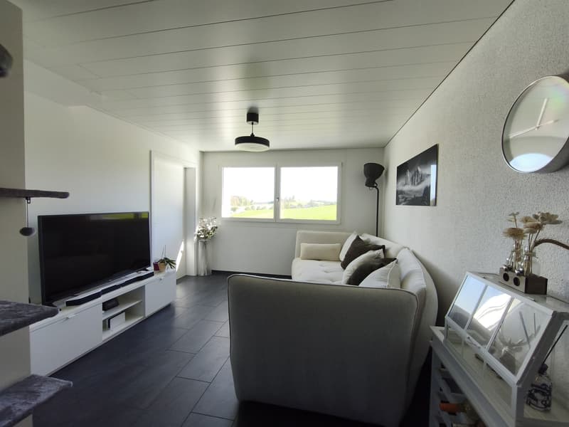3 ½ Zimmer Einliegerwohnung in ruhiger Lage mieten (9)