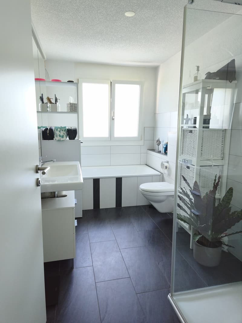 3 ½ Zimmer Einliegerwohnung in ruhiger Lage mieten (11)
