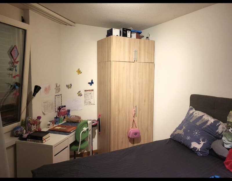 Nice apartment for rent in Kloten, Zurich (1)