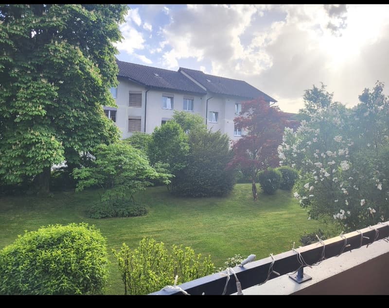 Nice apartment for rent in Kloten, Zurich (2)