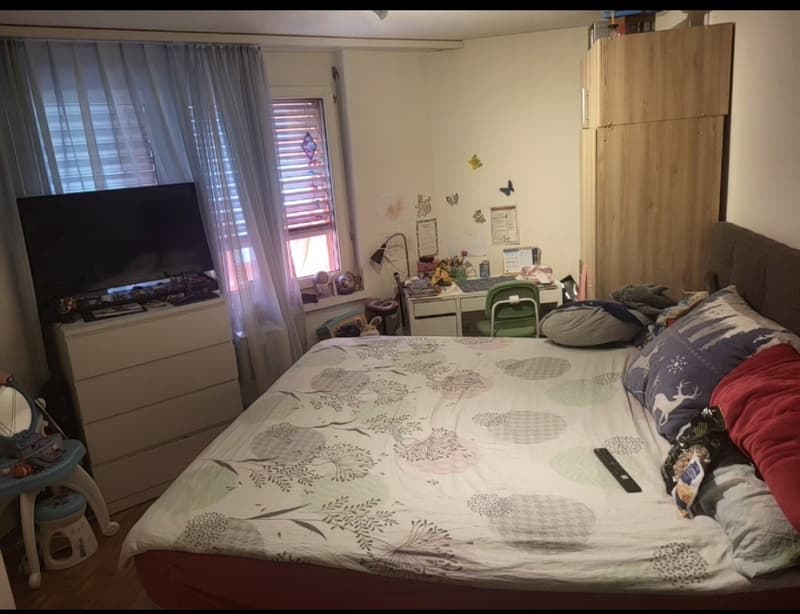 Nice apartment for rent in Kloten, Zurich (7)