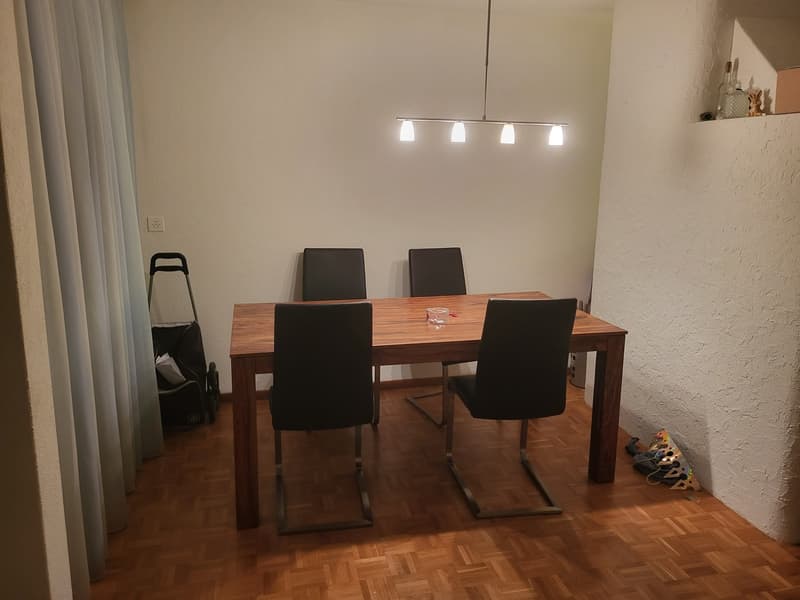 Nice apartment for rent in Kloten, Zurich (9)