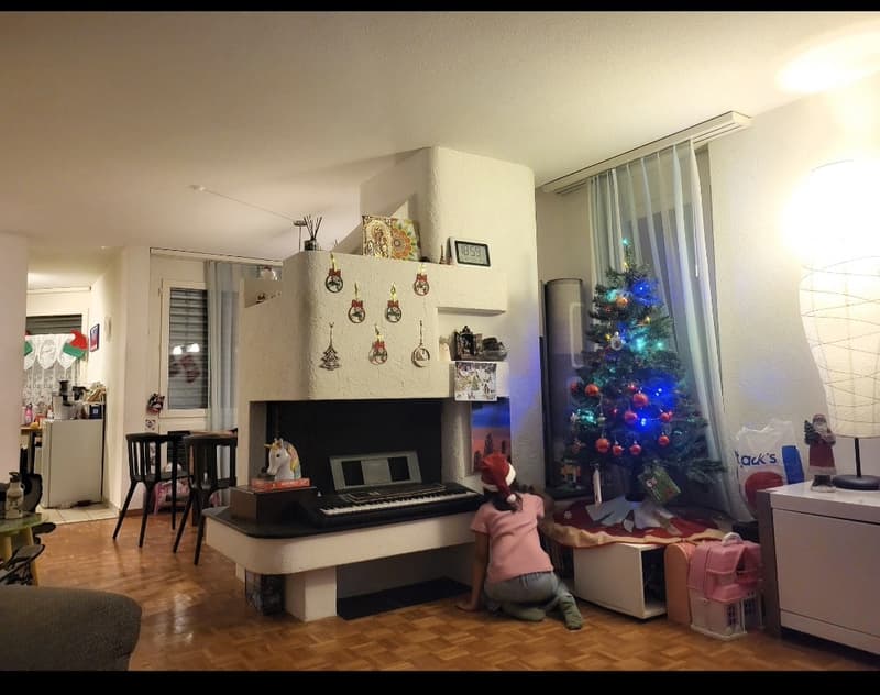 Nice apartment for rent in Kloten, Zurich (3)