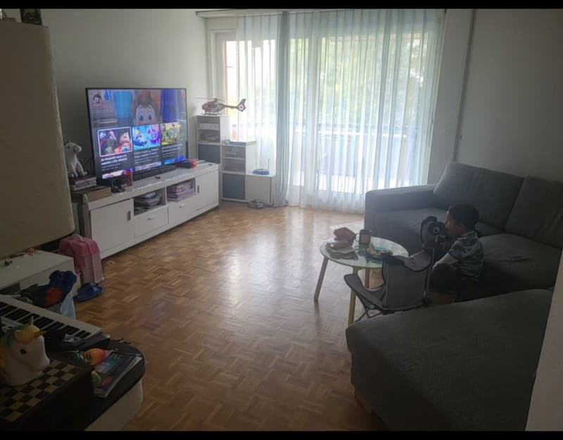 Nice apartment for rent in Kloten, Zurich (5)