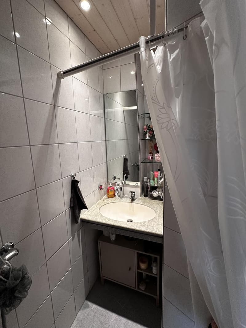 1-Zimmer-Wohnung in Bühler AR (4)