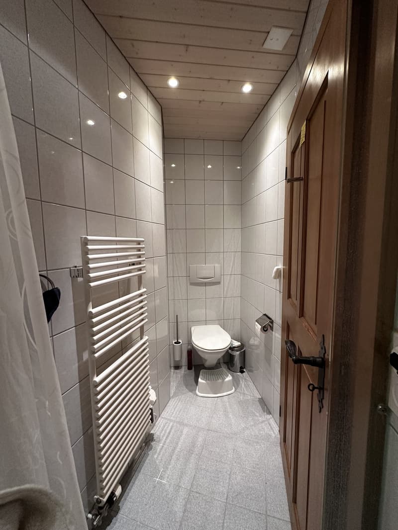 1-Zimmer-Wohnung in Bühler AR (5)
