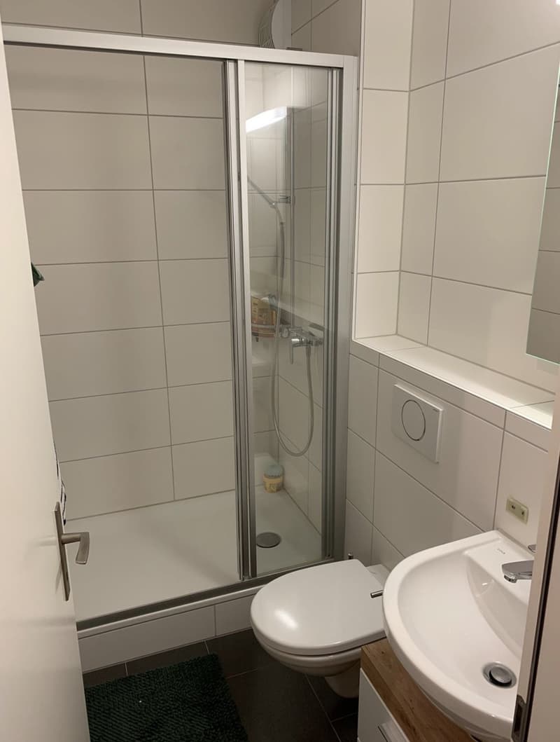 Freies WG-Zimmer in 5.5-Zimmer-Wohnung in Wittigkofen (6)