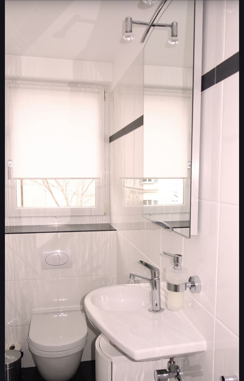 WG Zimmer, 8810 Horgen (13)