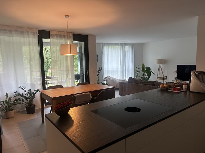 3.5-Zimmer-Wohnung direkt der Sihl - naturnah wohnen, stadtnah leben (1)