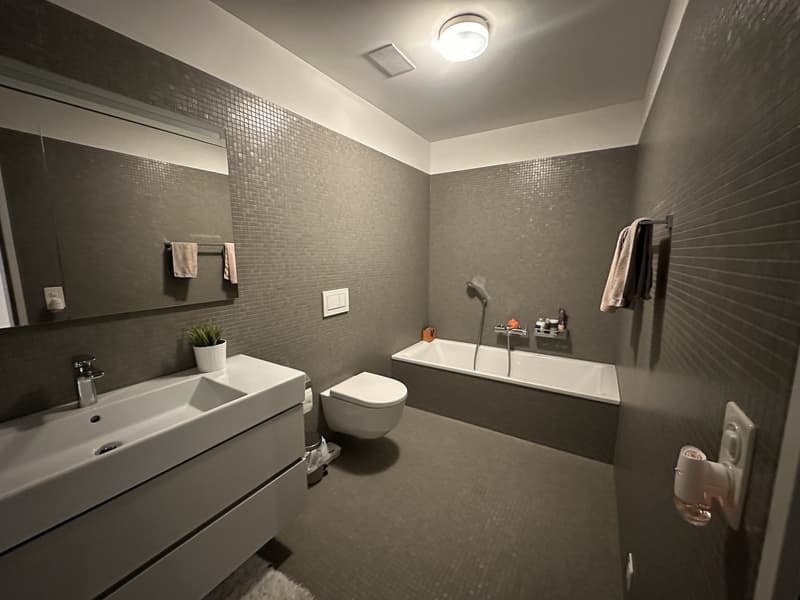 3.5-Zimmer-Wohnung direkt der Sihl - naturnah wohnen, stadtnah leben (6)