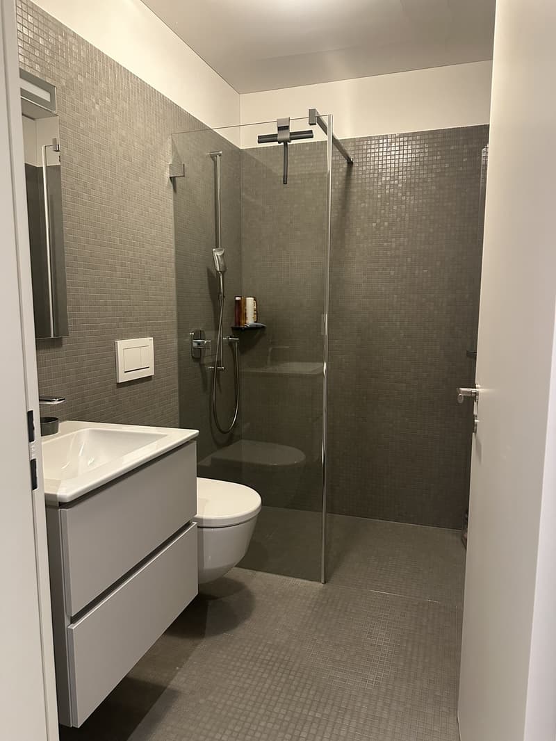 3.5-Zimmer-Wohnung direkt der Sihl - naturnah wohnen, stadtnah leben (7)