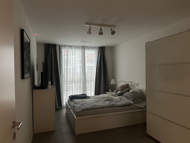 3.5-Zimmer-Wohnung direkt der Sihl - naturnah wohnen, stadtnah leben (5)