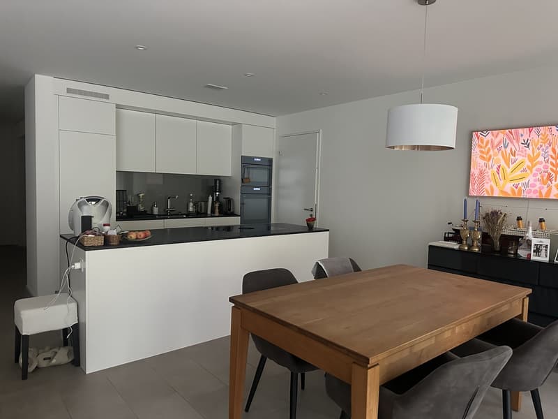 3.5-Zimmer-Wohnung direkt der Sihl - naturnah wohnen, stadtnah leben (3)