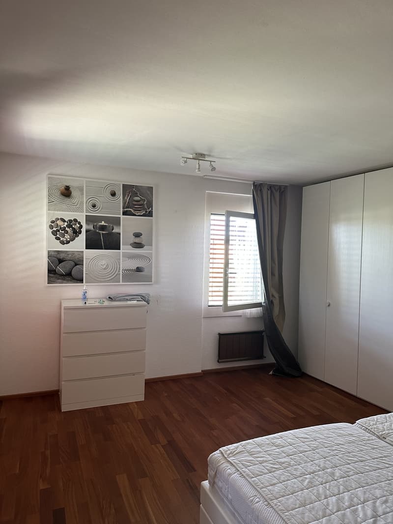 Schönes 4½-Zimmer-Haus (165 m²) (1)