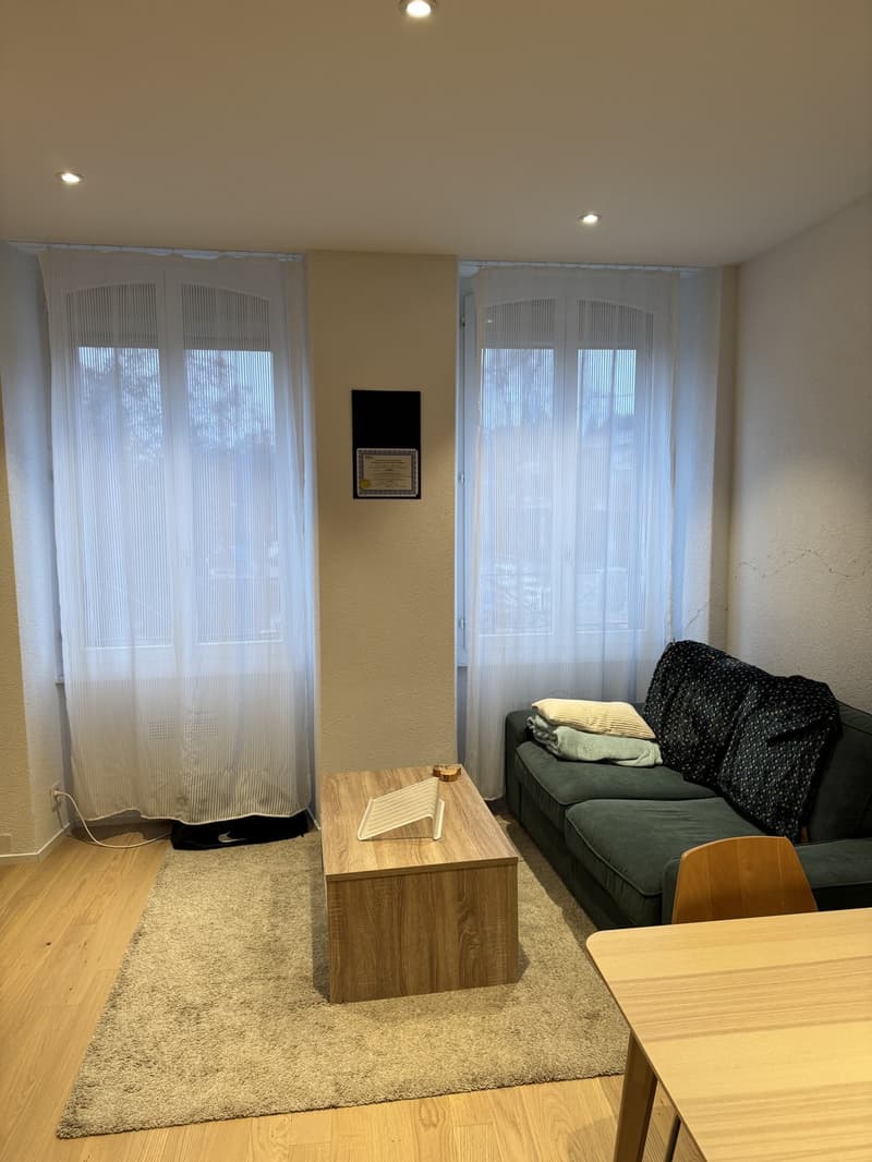 Appartement 2 ½ pièces, 1700 Fribourg (2)